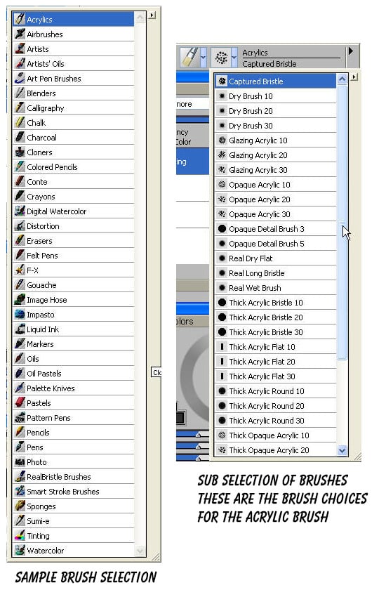 Aplomado Falcon Tutorial Steps 08