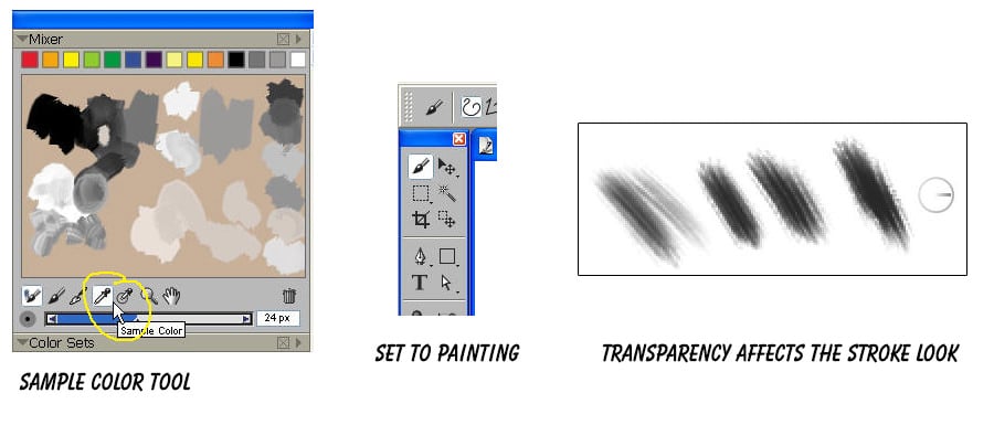 Aplomado Falcon Tutorial Steps 10