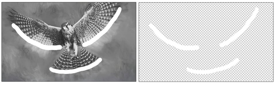 Aplomado Falcon Tutorial-Steps 16 Aplomado Falcon Tutorial-Steps 16