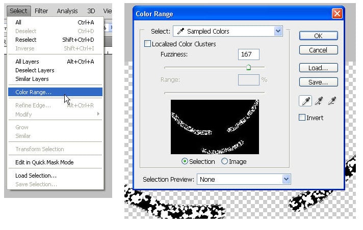 Aplomado Falcon Tutorial Steps 21