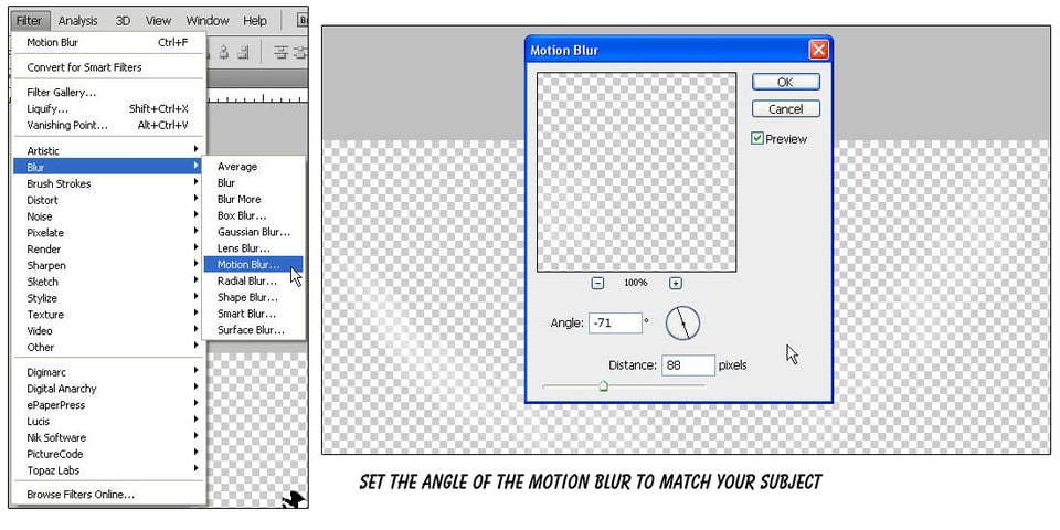 Aplomado Falcon Tutorial Steps 22