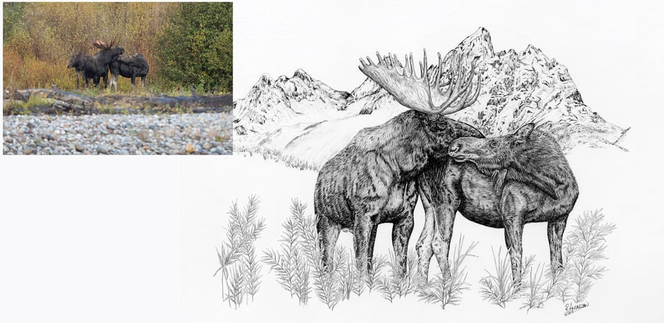 Kissing Moose Artwork from Photo