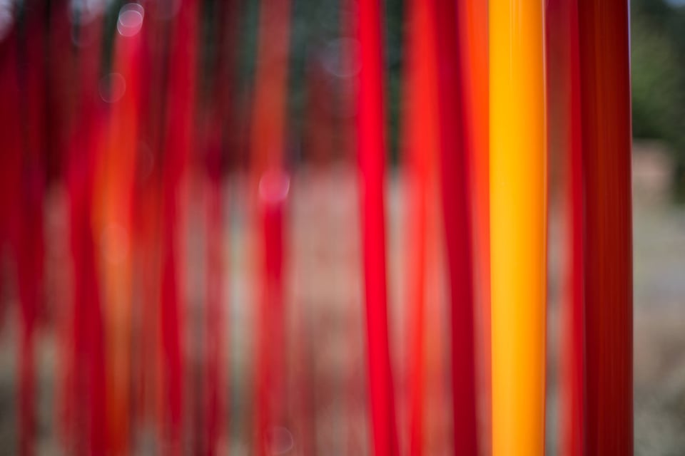 Nikon D750 Sample Image (7)