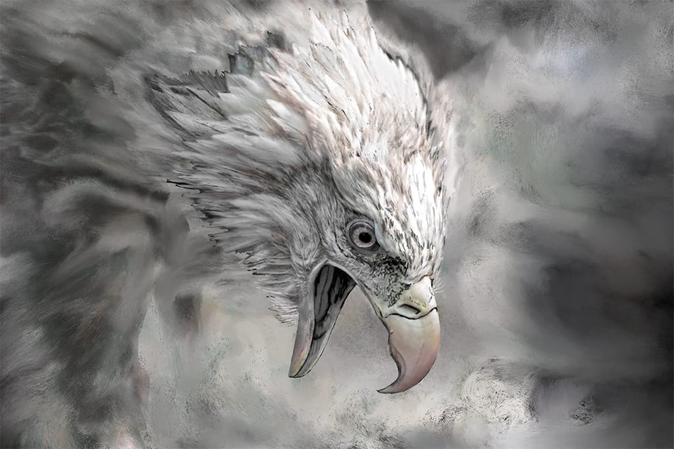 Painted Photo of Angry Bald Eagle Painted Photo of Angry Bald Eagle