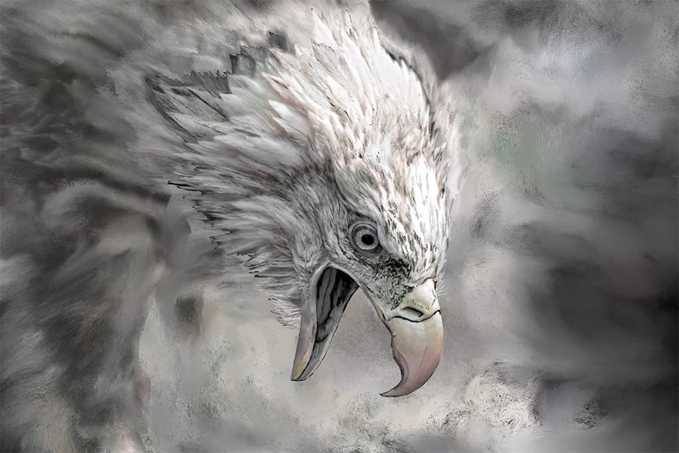 Painted Photo of Angry Bald Eagle