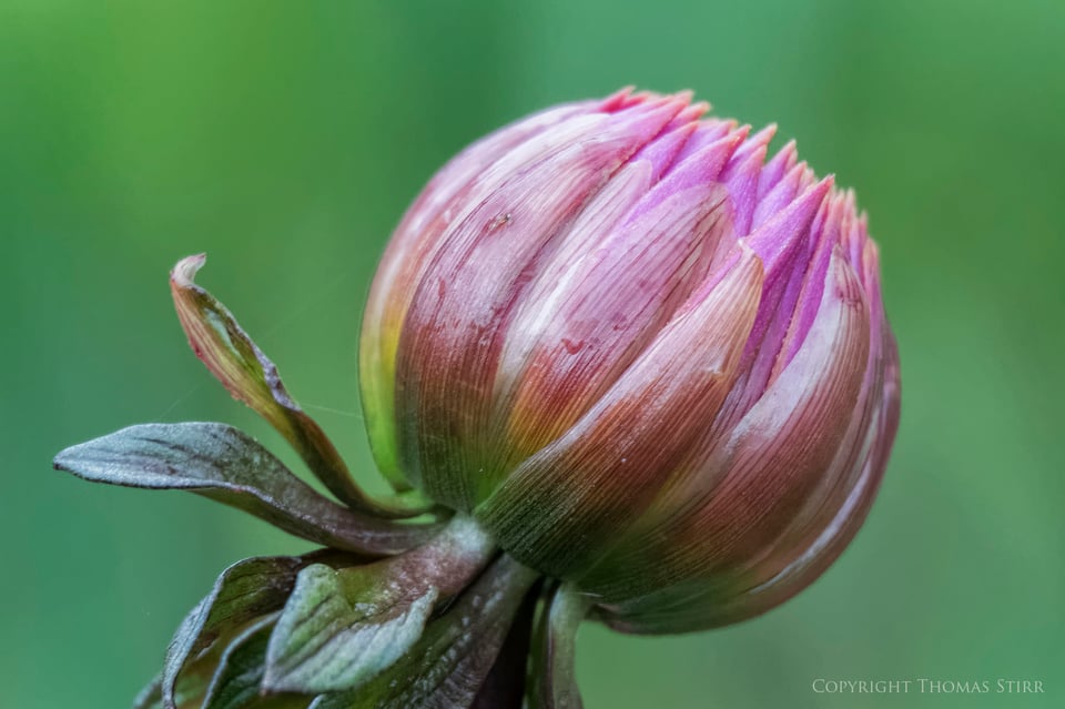 Vello extension tubes image 11