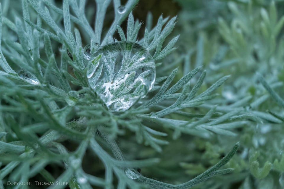 Vello extension tubes image 16 Vello extension tubes image 16