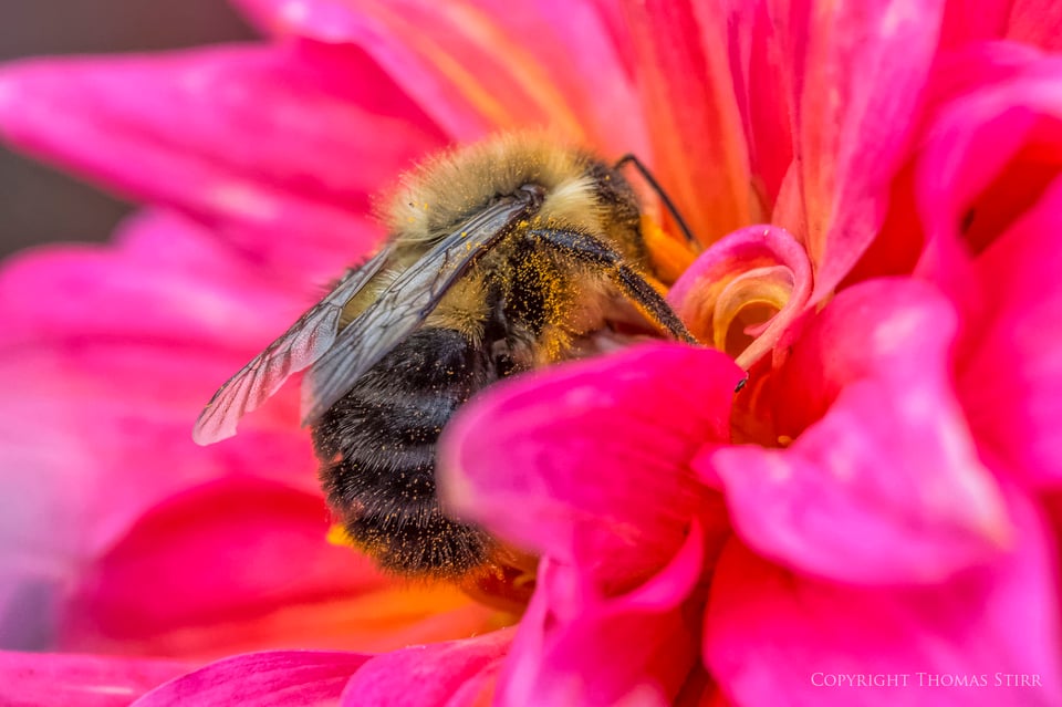 Vello extension tubes image 18 Vello extension tubes image 18