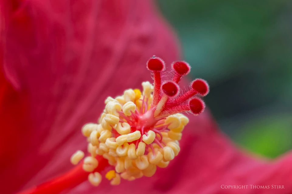 Vello extension tubes image 8 Vello extension tubes image 8