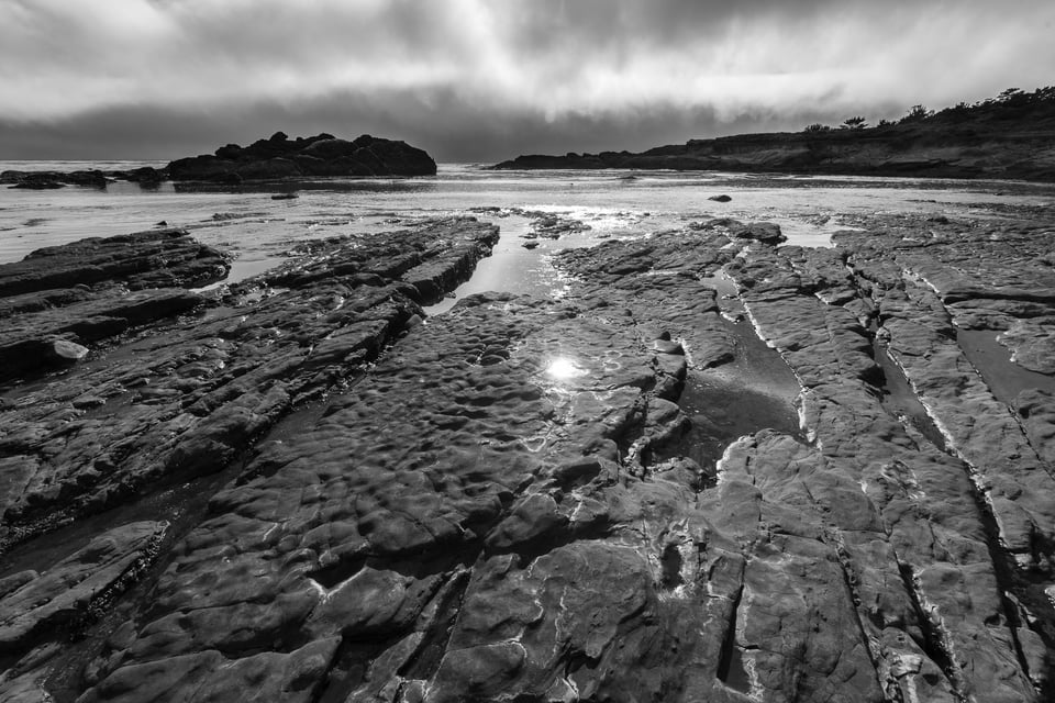 Verm-Weston-Beach-Point-Lobos-5683