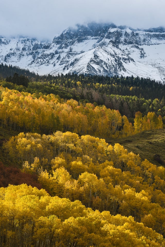 Verm-aspens-3rows-San-Juans-3128 Verm-aspens-3rows-San-Juans-3128