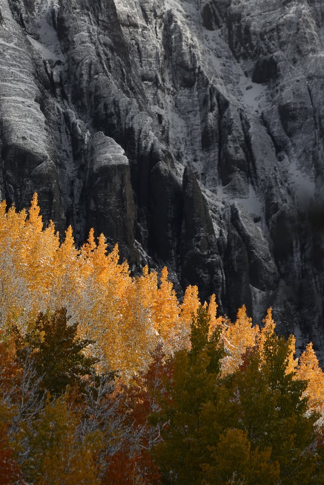 Verm-aspens-dark-cliff-San-Juans-1628 Verm-aspens-dark-cliff-San-Juans-1628