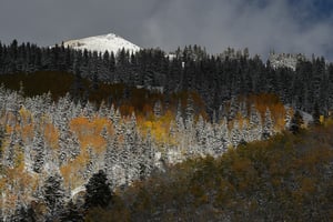 Verm-white-pyramid-San-Juans-1663