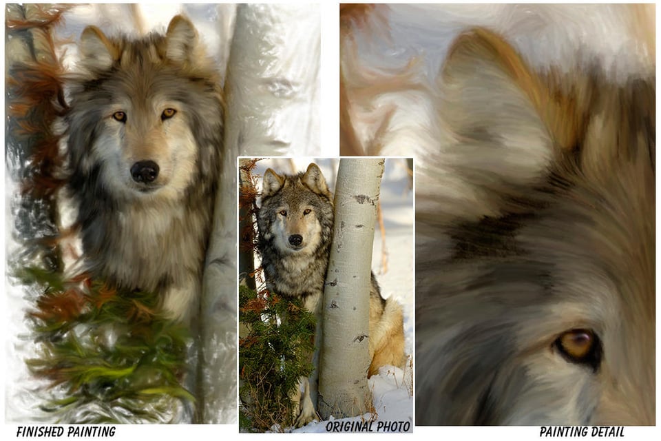 Wolf Art Created from a photo Wolf Art Created from a photo