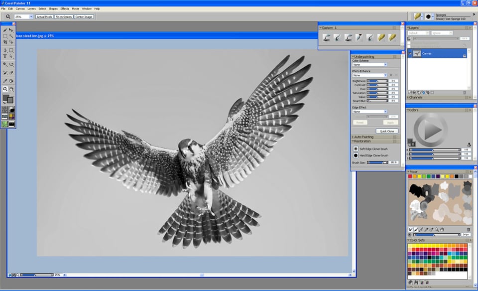 Aplomado Falcon Tutorial Aplomado Falcon Tutorial