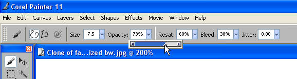 Aplomado Falcon Tutorial Aplomado Falcon Tutorial
