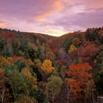 Acadia National Park (1)