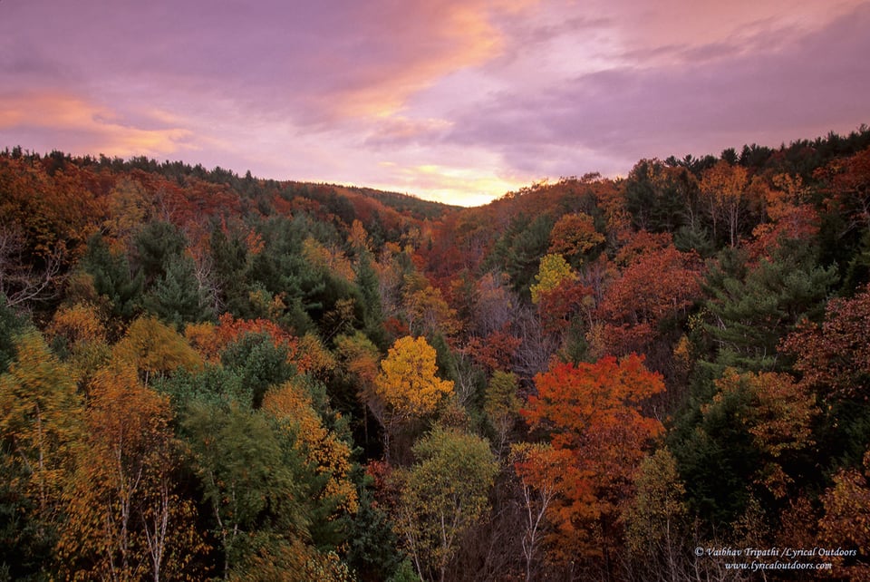 Acadia National Park (1)