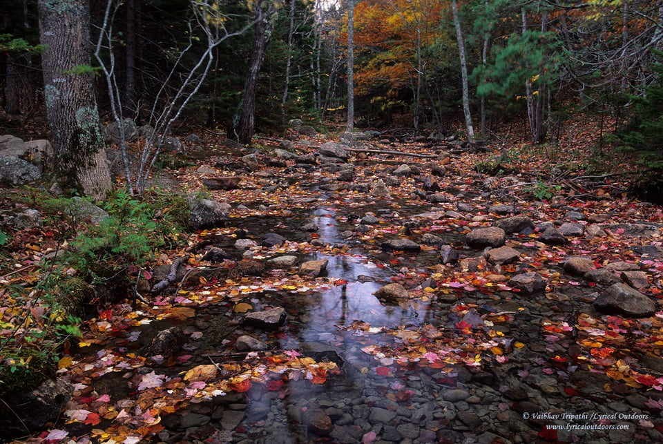 Acadia National Park (12)