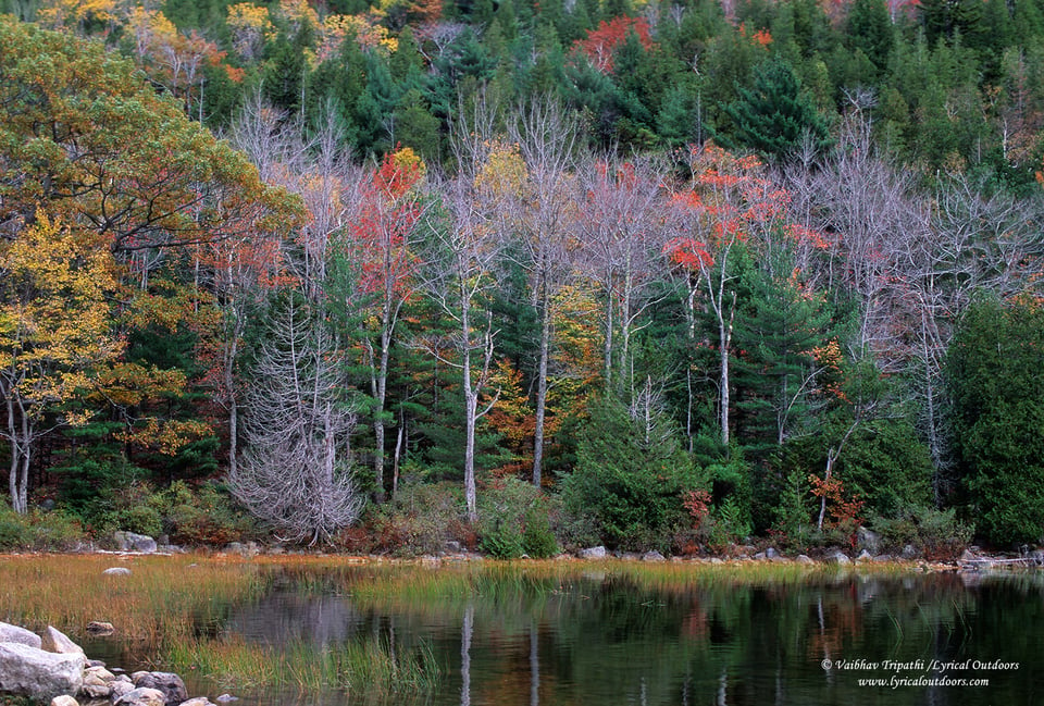 Acadia National Park (13)