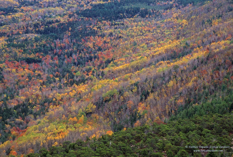 Acadia National Park (16)