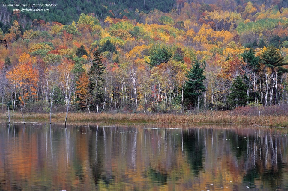 Acadia National Park (2)