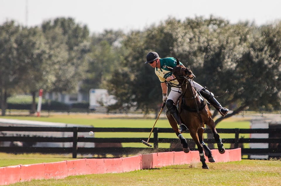 Horse Polo (1)