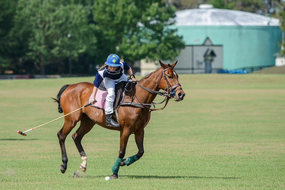 Horse Polo (12)