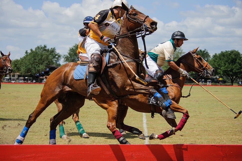 Horse Polo (2)