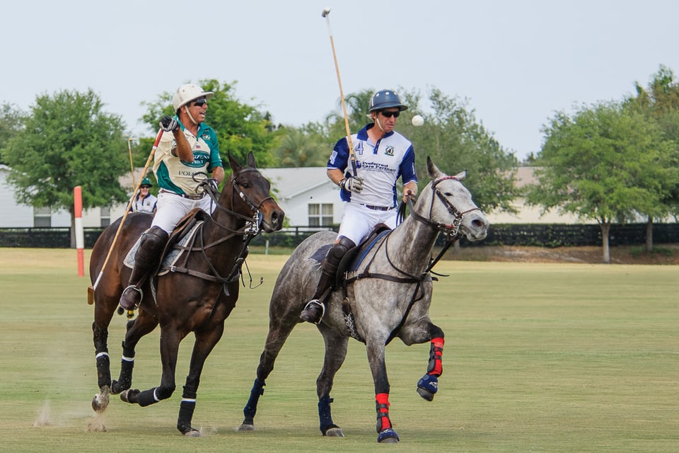 Horse Polo (4)