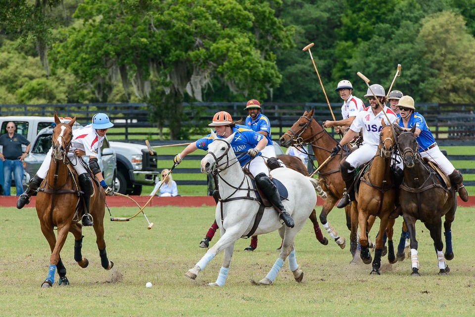 Horse Polo (5)