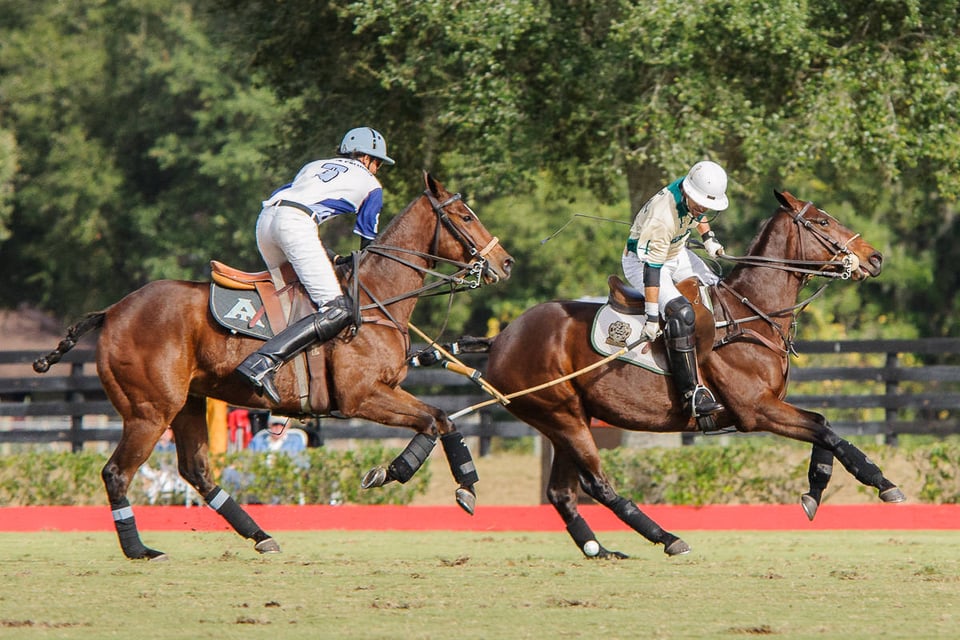 Horse Polo (7)