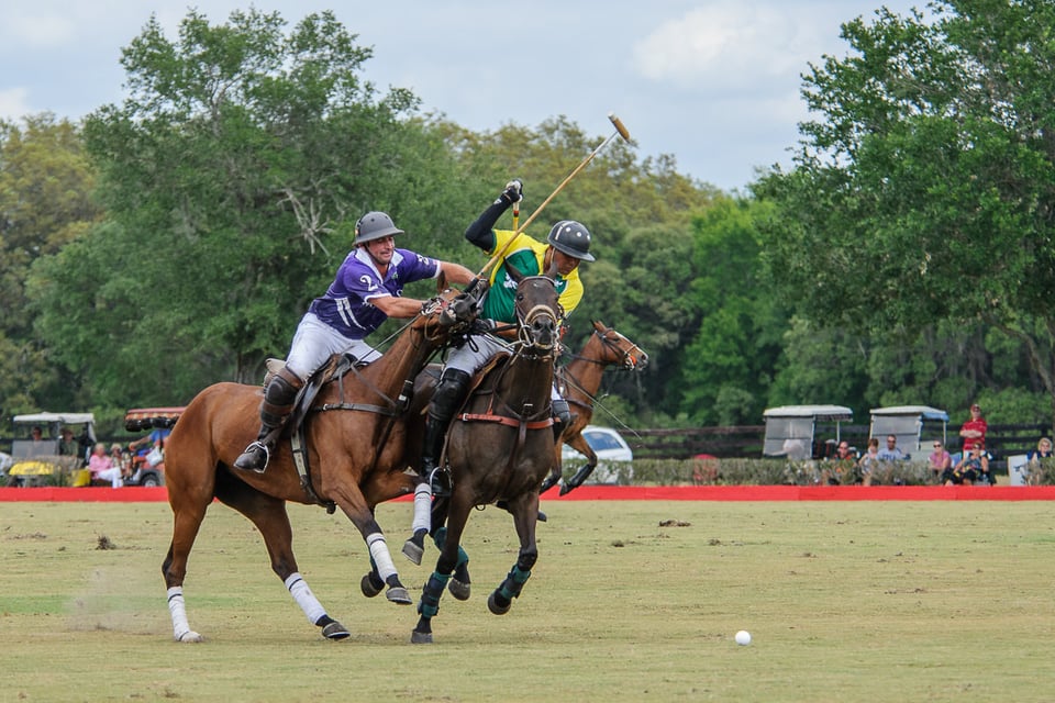 Horse Polo (8)