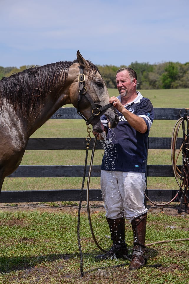 Horse Polo (9)