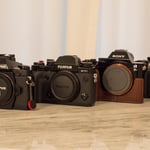 Mirrorless Cameras