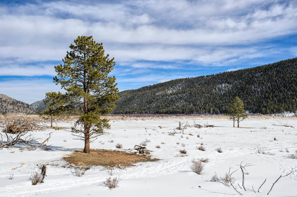 Nikon 35mm f/1.8G ED Image Sample (15)