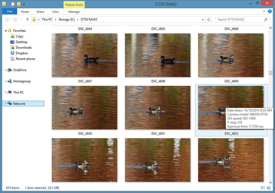 Microsoft Windows 8.1 RAW Image View