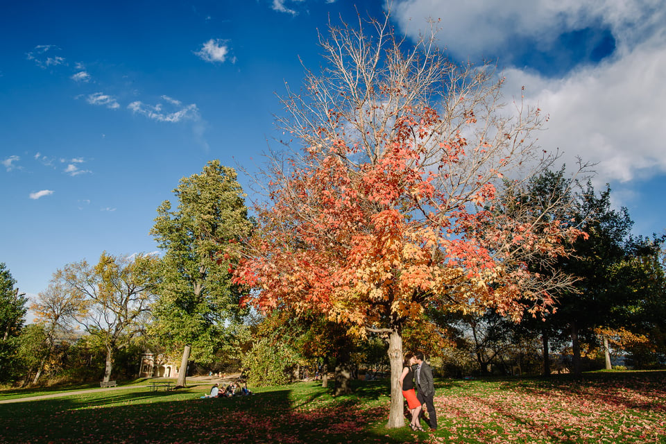 Nikon 20mm f/1.8G Image Sample (25)