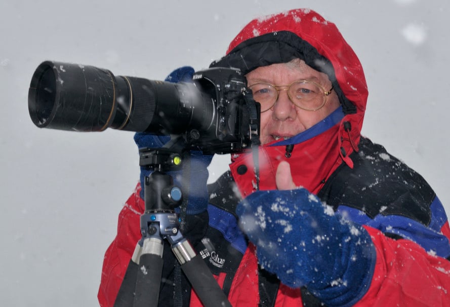 Whale Watching In the Antarctic