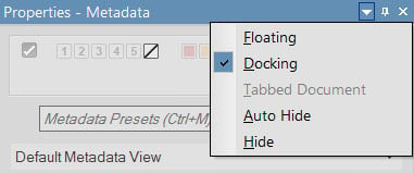 ACDSee Panel Customization