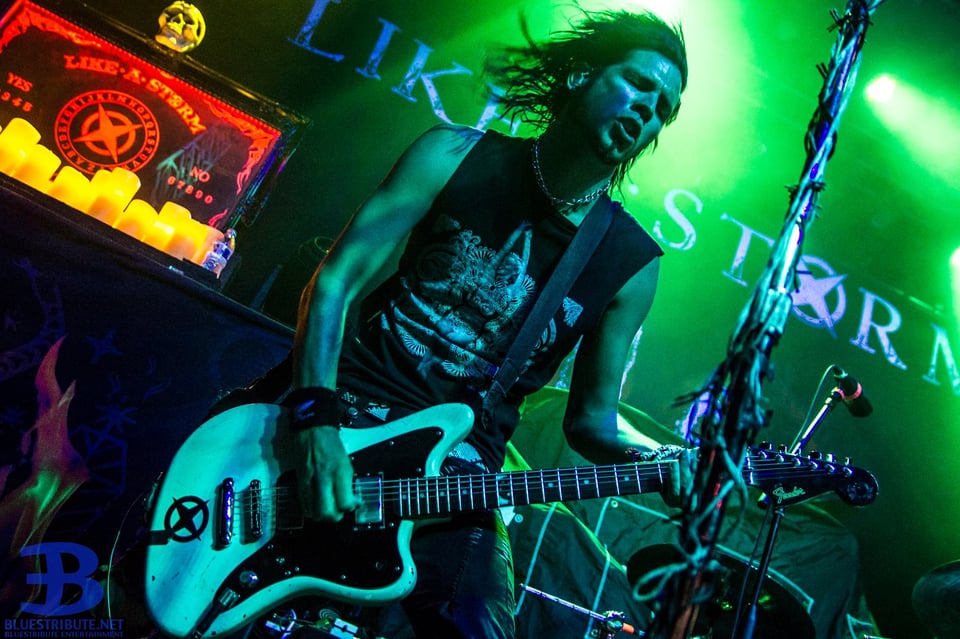 Bluestribute (5)