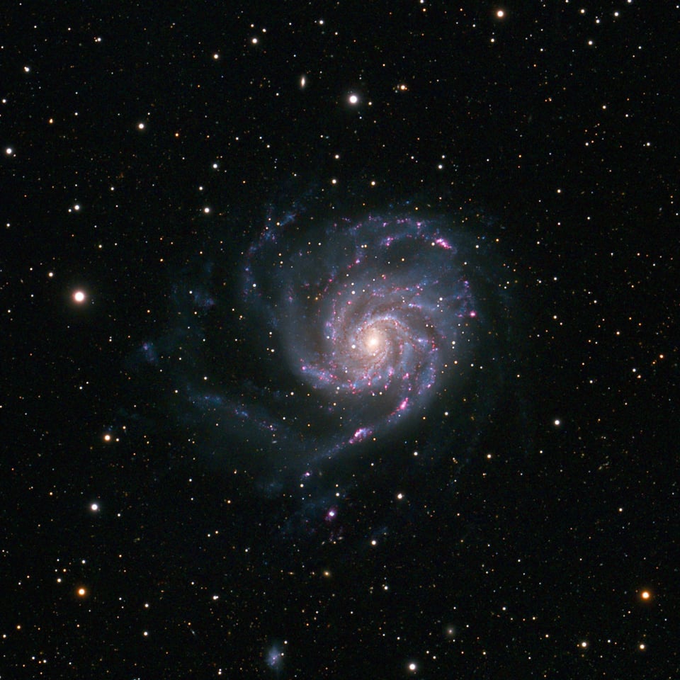 M101