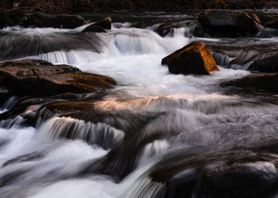 Rapids Rapids