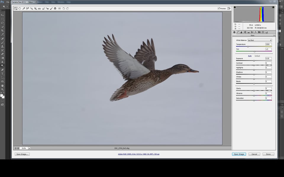 Smart Image 6 DNG file initially opened in CS6 for 2744 Smart Image 6 DNG file initially opened in CS6 for 2744