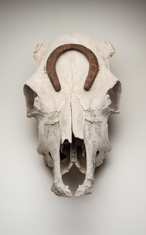 Verm-skull-horseshoe-soft-n-nat-2758 Verm-skull-horseshoe-soft-n-nat-2758