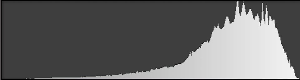 Histogram