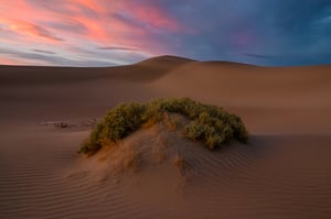 Mesquite Dunes