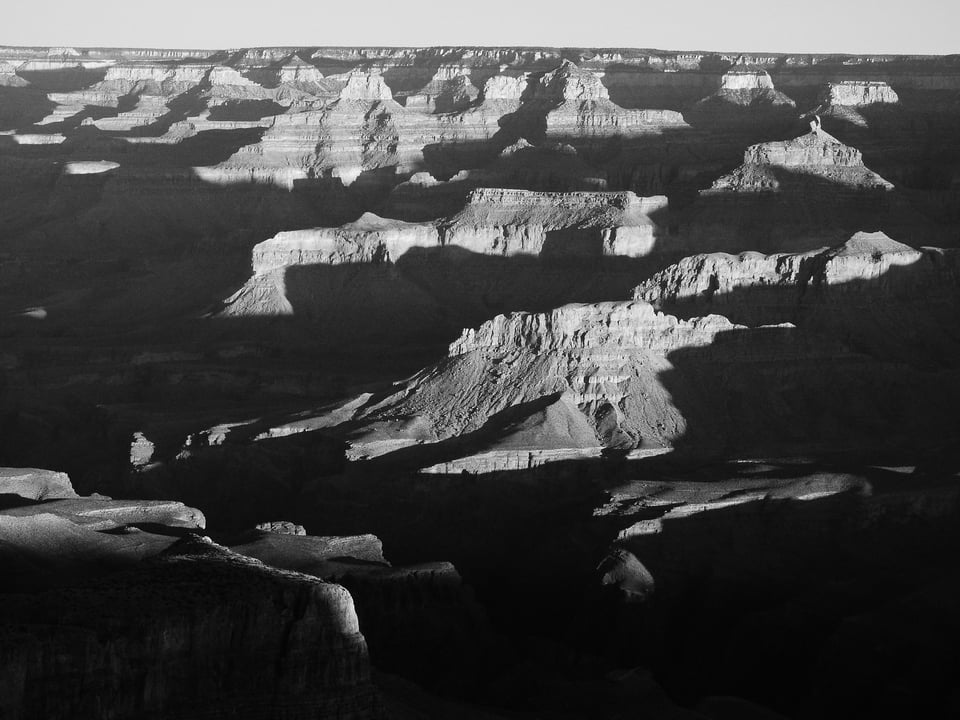 Verm-BW-red-hi=contrast-P900-0448 Verm-BW-red-hi=contrast-P900-0448