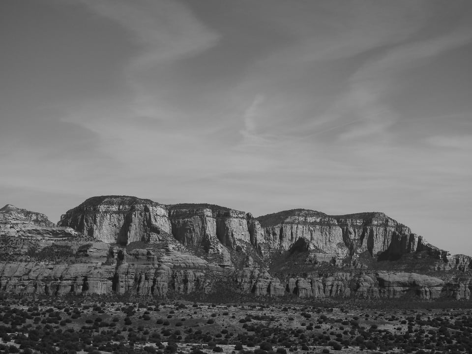 Verm-HC-monochrome-P900-3570 Verm-HC-monochrome-P900-3570