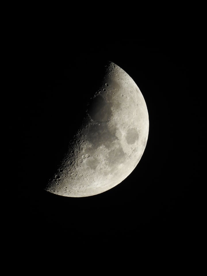 Verm-half-moon-P900-0397 Verm-half-moon-P900-0397